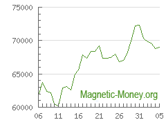 The dynamics of exchange rates BTC to Perfect Money USD