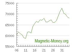 The dynamics of exchange rates Perfect Money EUR to BTC